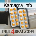 Kamagra Info levitra2